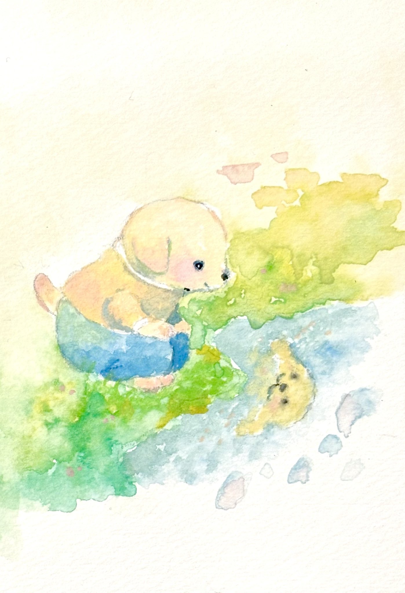 images