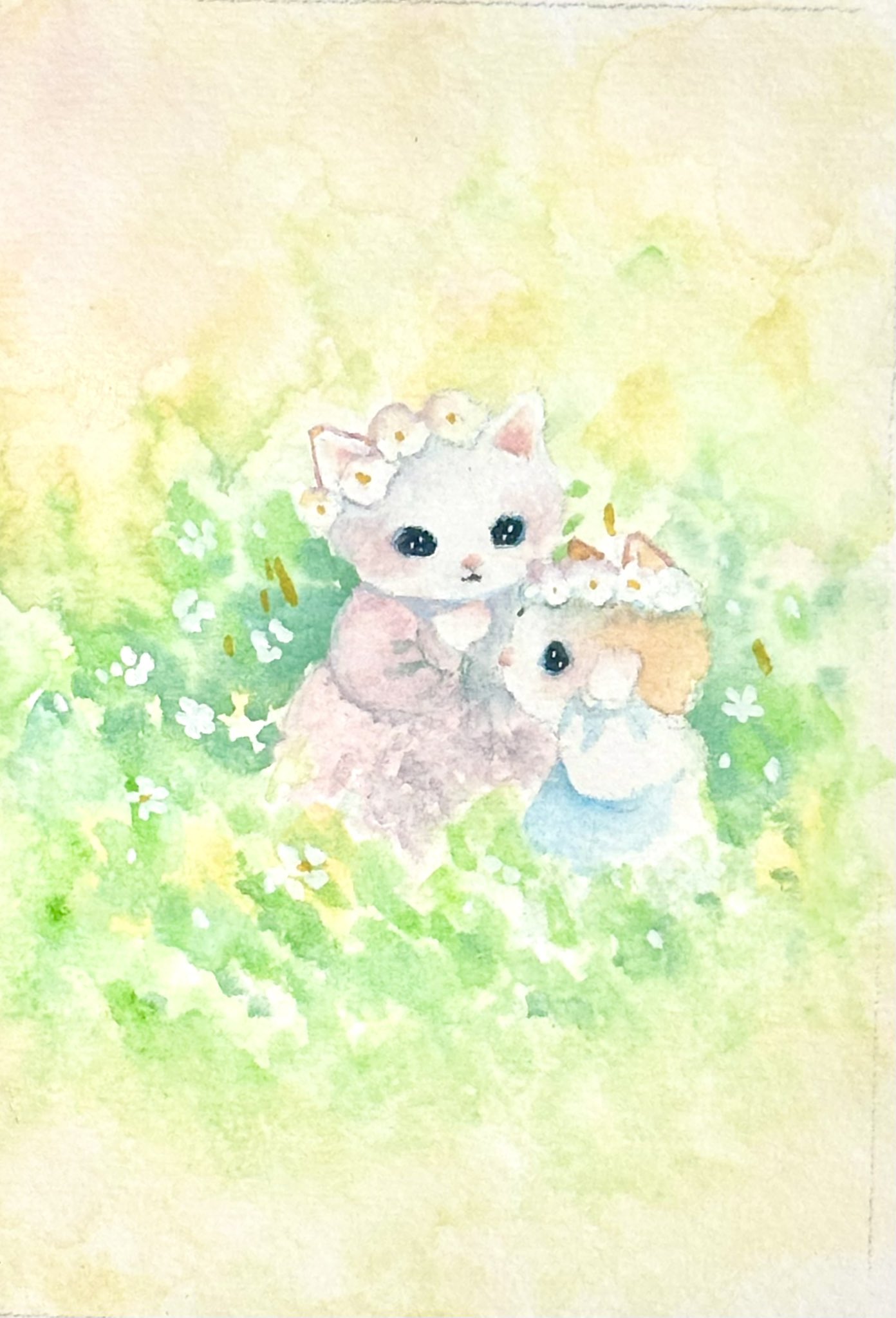 images