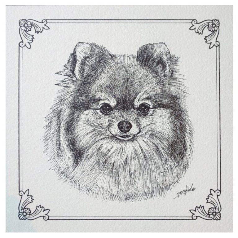 サトウリツコ犬の絵Ritsuko Sato