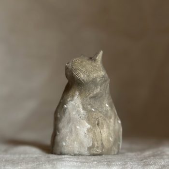 全ての愛おしい凸凹たちへ 47